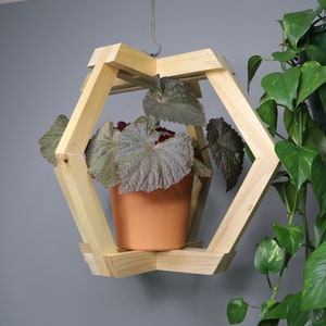Puede incluir: Un macetero hexagonal de madera colgante con una planta en maceta en su interior. El macetero está suspendido del techo con un gancho de metal. La planta tiene hojas verdes y está en una maceta de terracota.