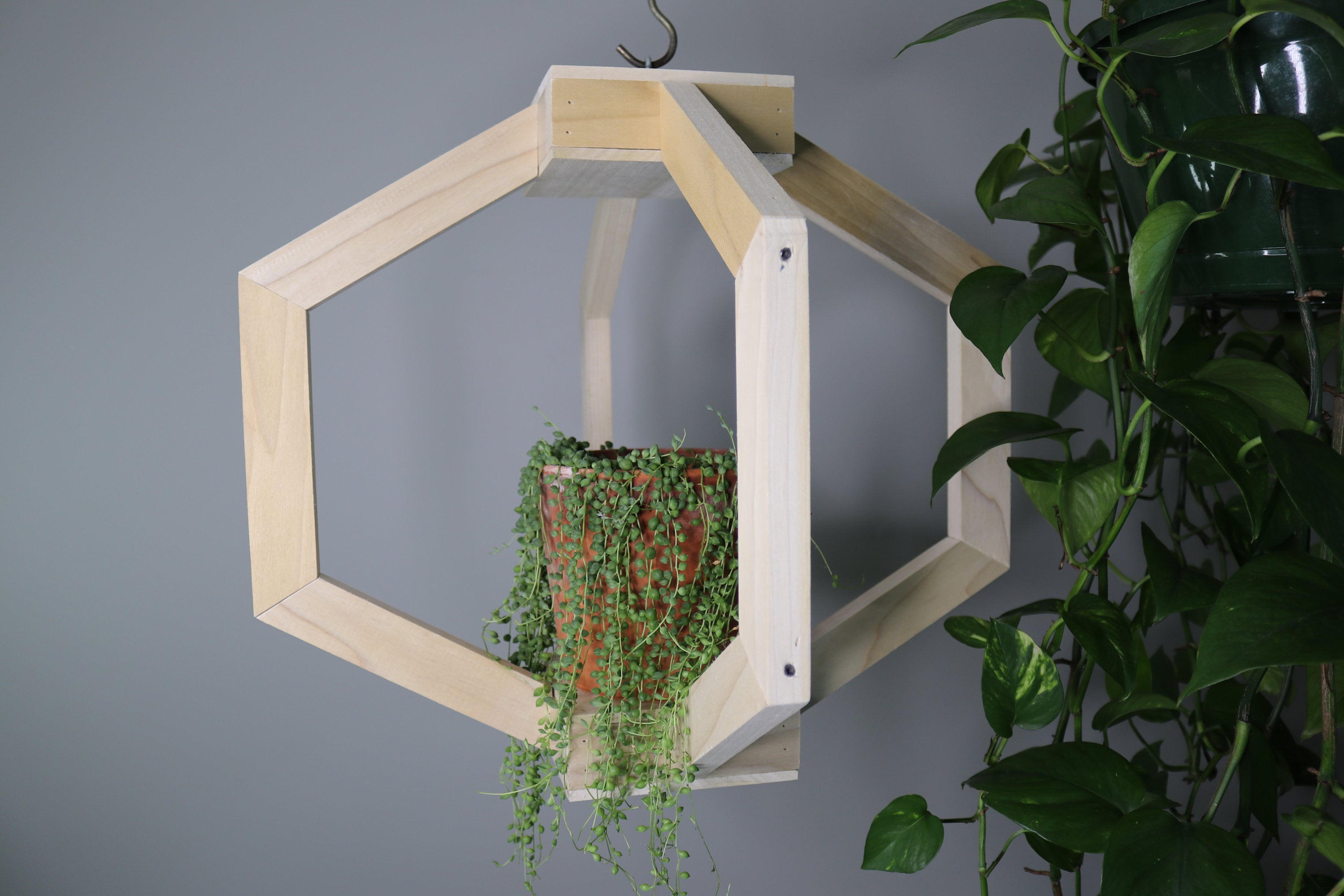 Wooden Plant Hanger Etsy