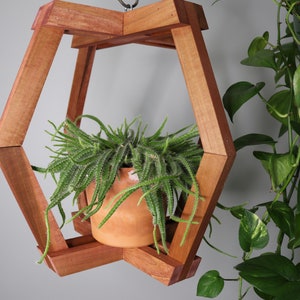 Puede incluir: Un colgador de plantas geométrico de madera con diseño hexagonal. El marco de tono madera natural sostiene una maceta de terracota llena de una planta verde y espinosa. Una planta verde y frondosa cuelga en el fondo.