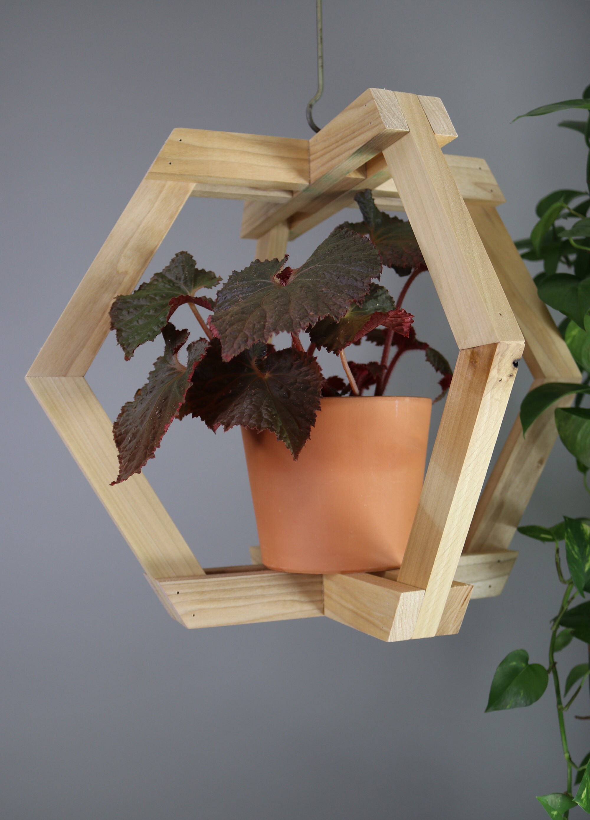 Wooden Plant Hanger Etsy