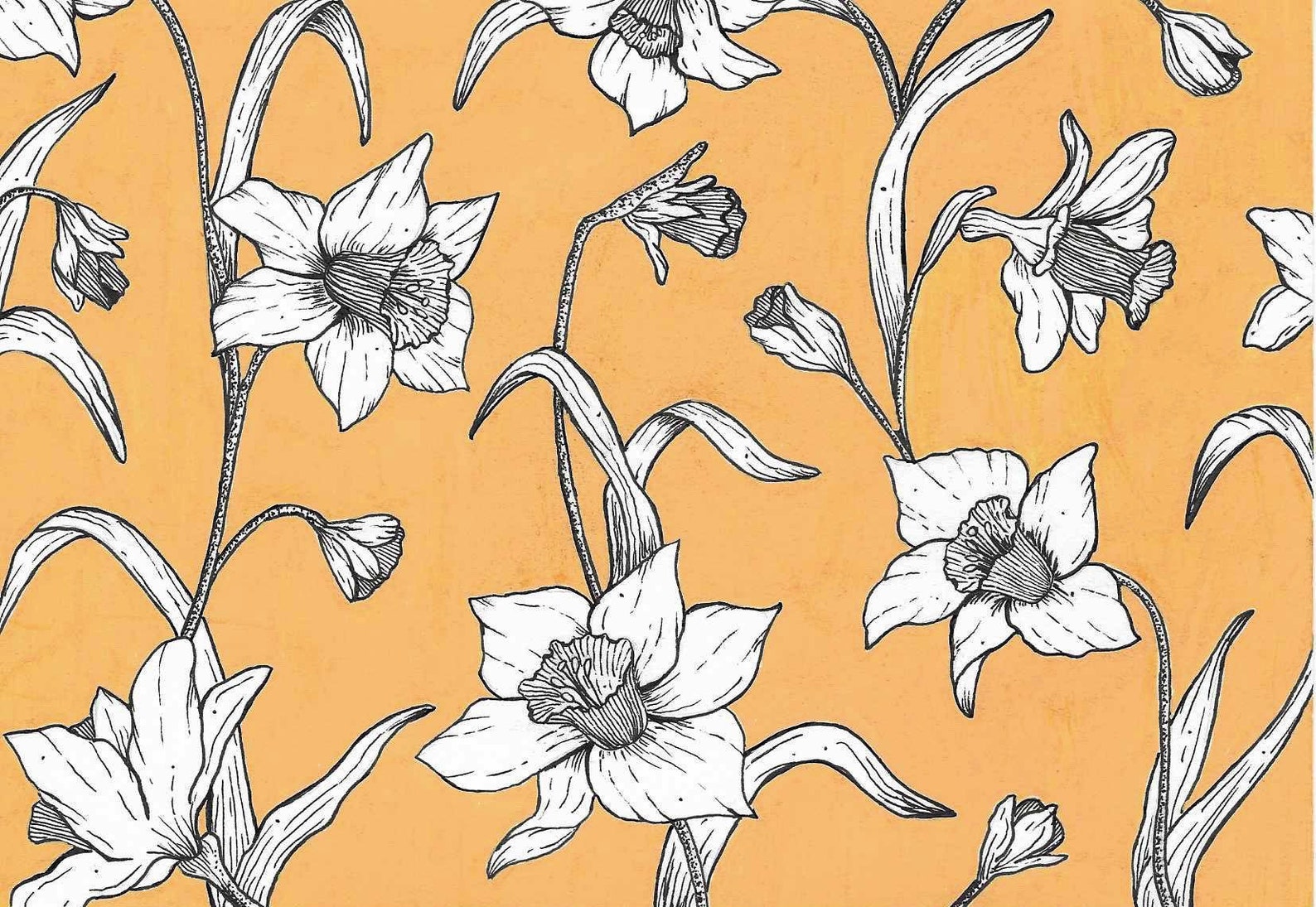 Daffodil Pattern Art Print Etsy