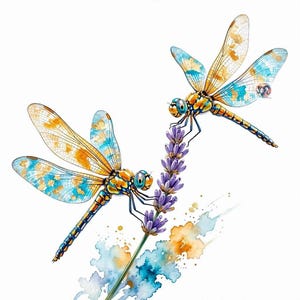 May include: A watercolor illustration featuring two dragonflies with translucent wings patterned in shades of blue and orange, perched on a stalk of purple lavender flowers, with abstract blue and orange paint splatters at the base.