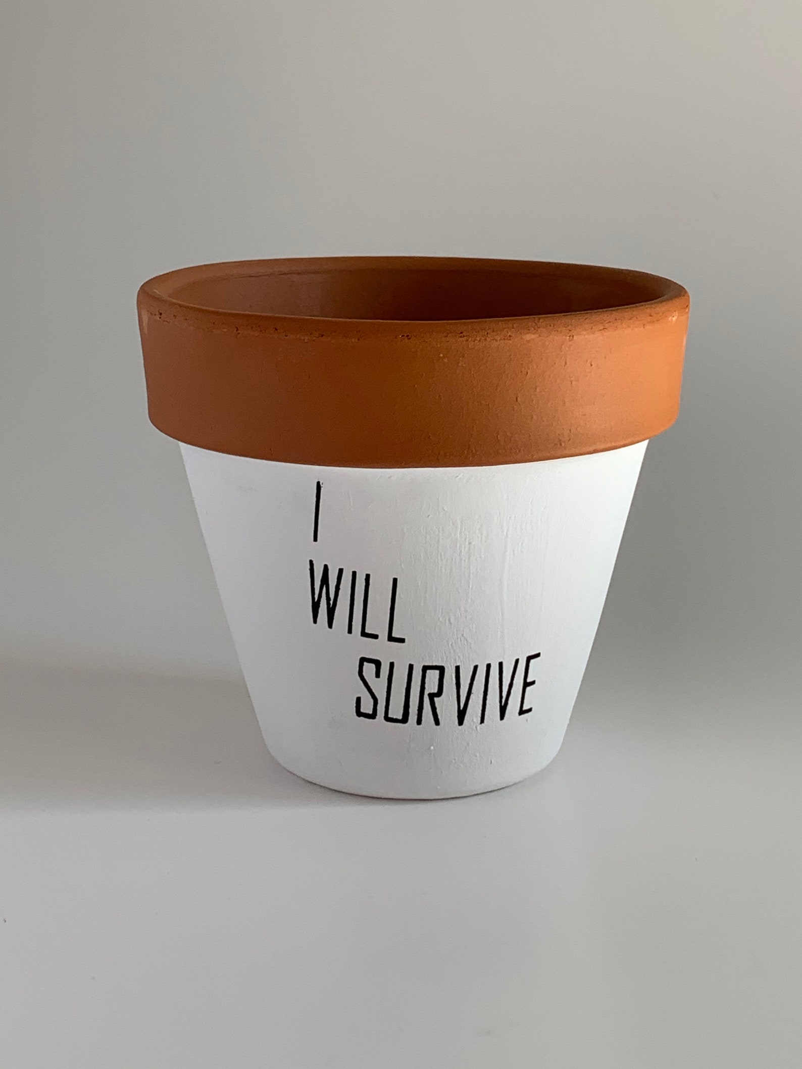 Punny Pots - Etsy