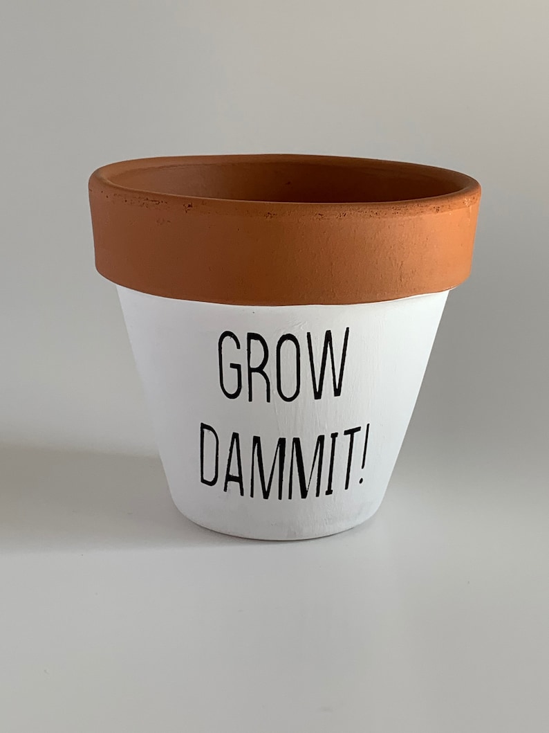 Punny Pots - Etsy