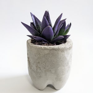 Concrete Planter | Modern & Minimal | Home Décor