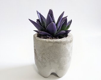 Jardinero de hormigón / Moderno y Minimal / Decoración del hogar