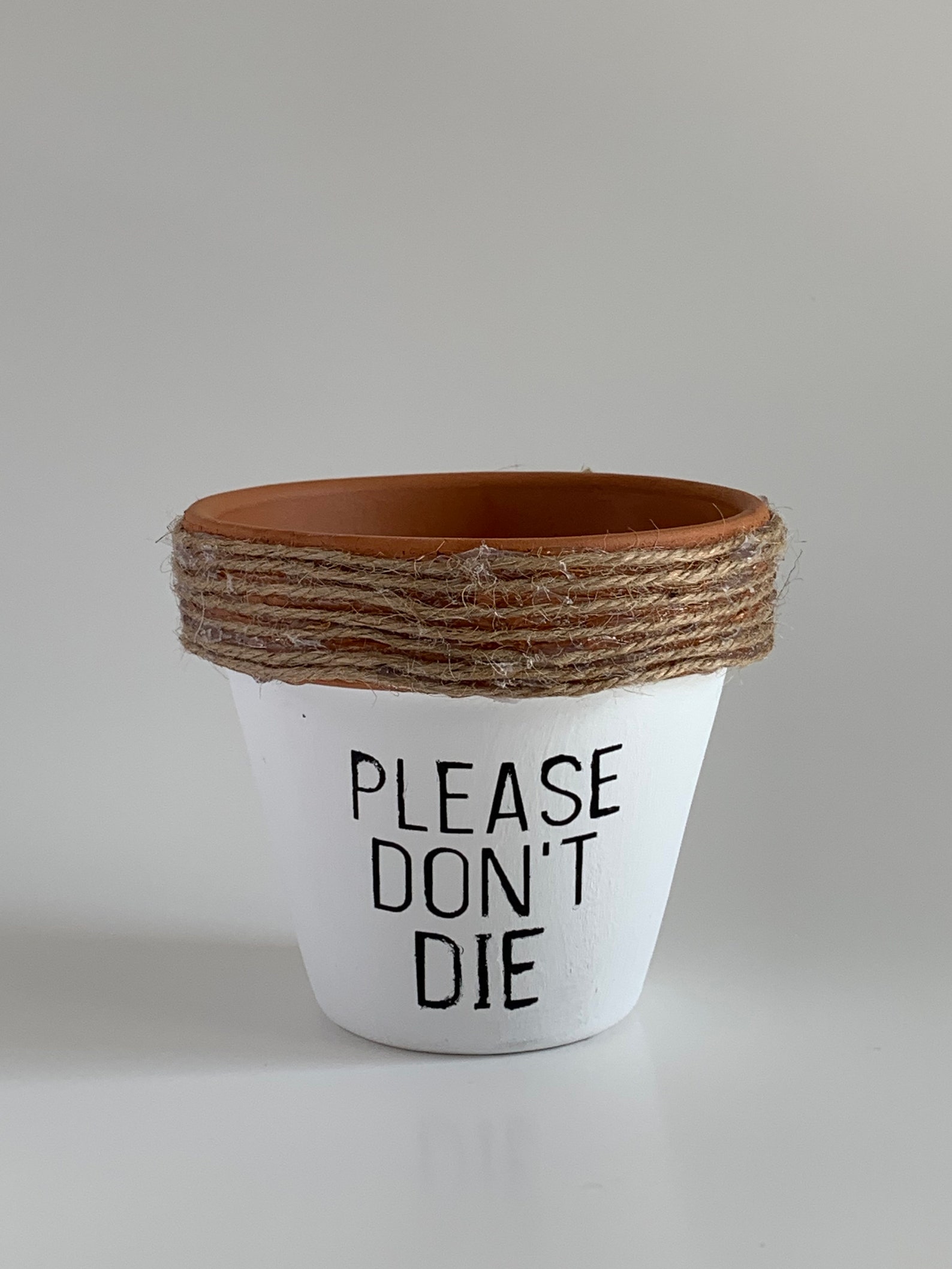 Punny Pots - Etsy