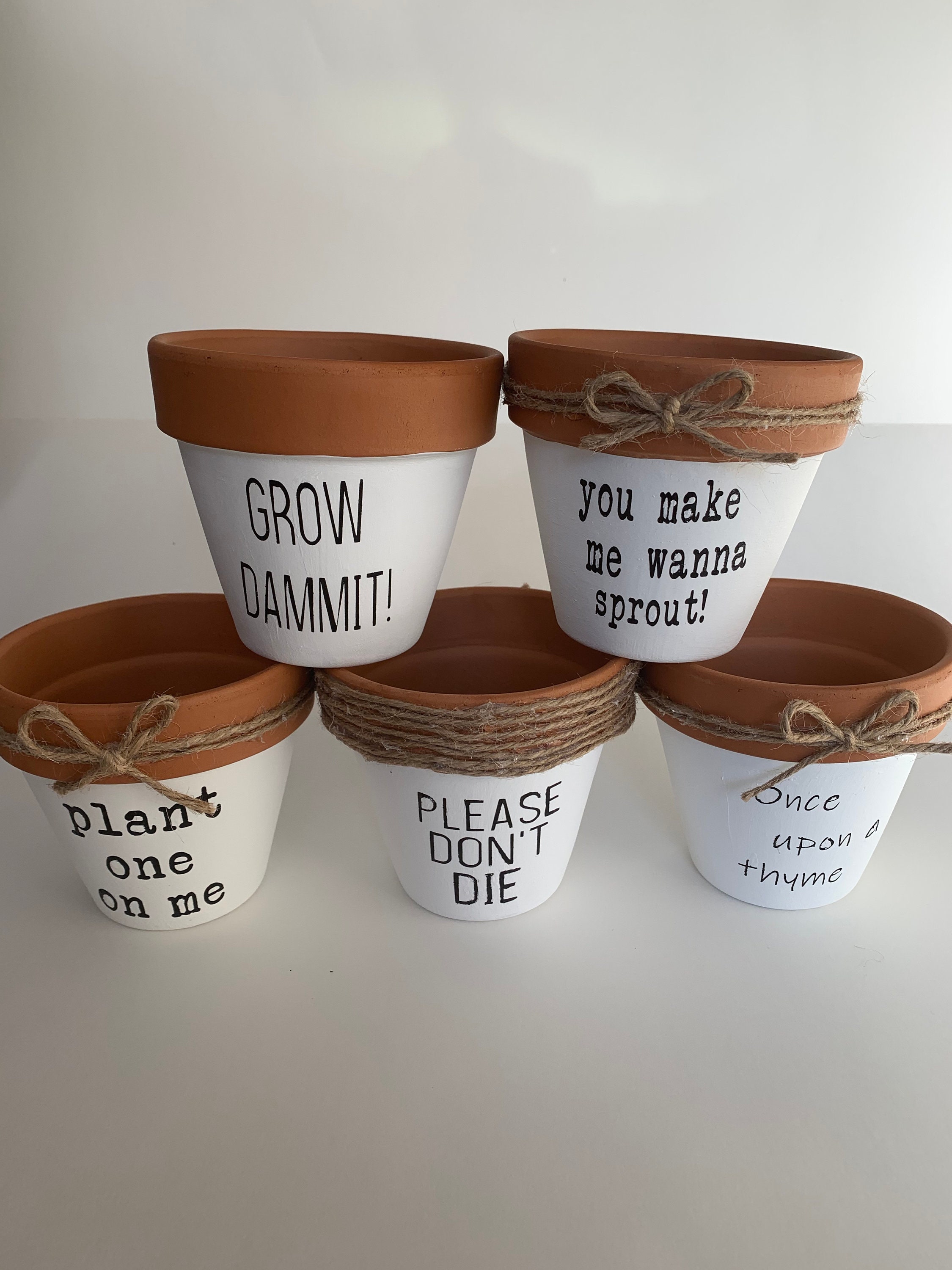 Punny Pots - Etsy