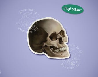 Memento Mori Skull | 3" Illustrated Matte Vinyl Sticker