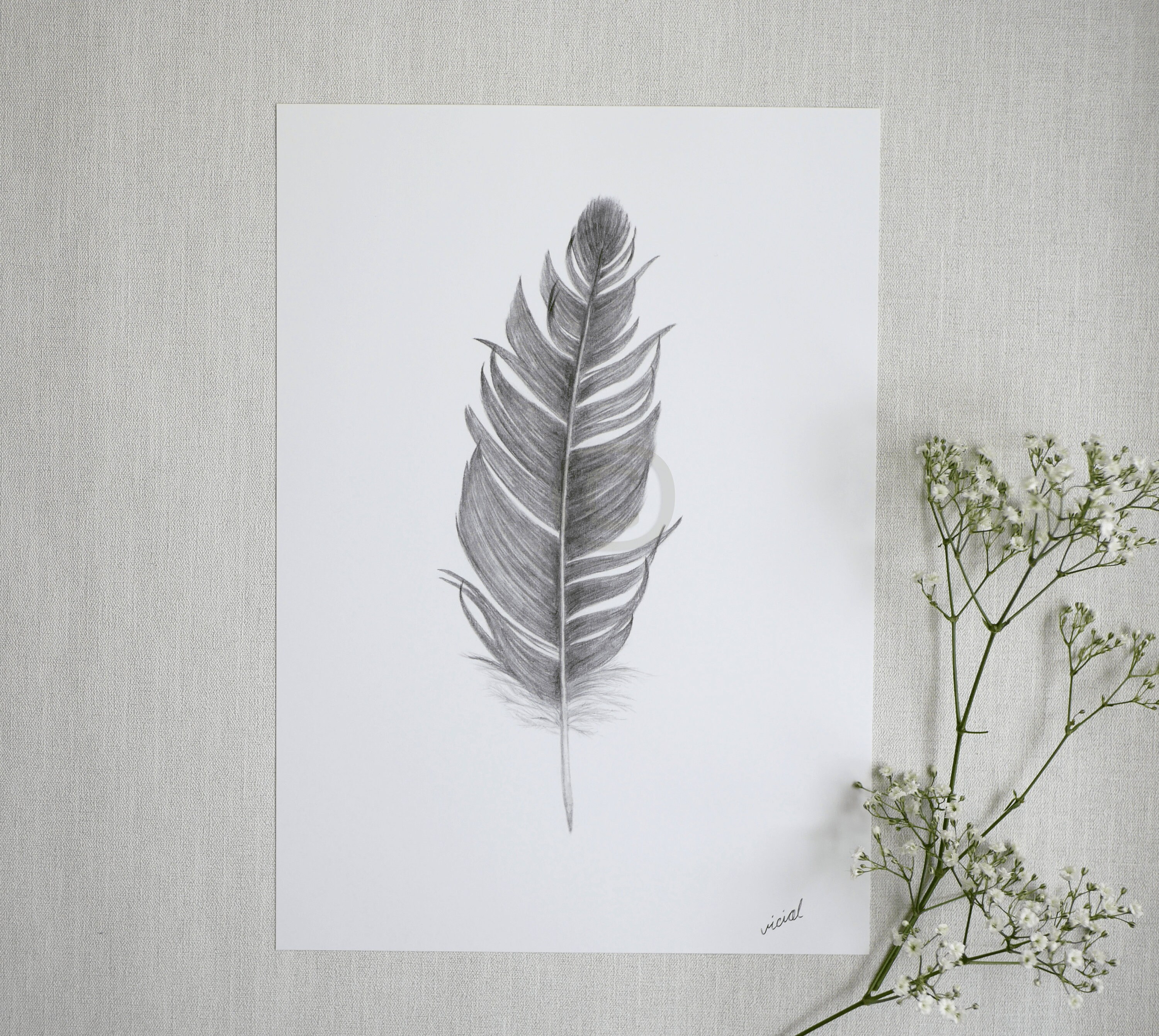 Feathers Set of 3 Drawing Print A3 A4 A5 Signed by | Etsy