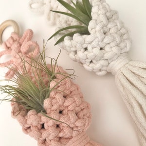 May include: Two macrame plant hangers with air plants. One is white and the other is pink.