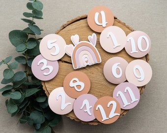 Boho Rainbow Monthly Photo Banner for 1st Birthday Girl to Hang First Year 0-12 Month Pictures Blush Pink Mauve Rose Gold Rust Decor
