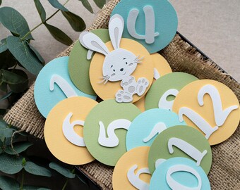 May include: A set of twelve colorful paper circles with white numbers and a white bunny illustration. The circles are arranged in a basket.