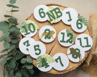 Wild One First Year Photos 12 Month Photo Banner with Lion King of Animals Green Gold Safari Jungle Birthday Decorations for Boy or Girl