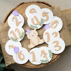 Teddy Bear 12 Month Photo Banner Baby Girl Picnic Monthly Pictures Garland Violet Green Tan Decor
