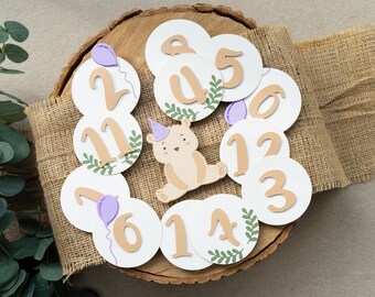 Teddy Bear 12 Month Photo Banner Baby Girl Picnic Monthly Pictures Garland Violet Green Tan Decor