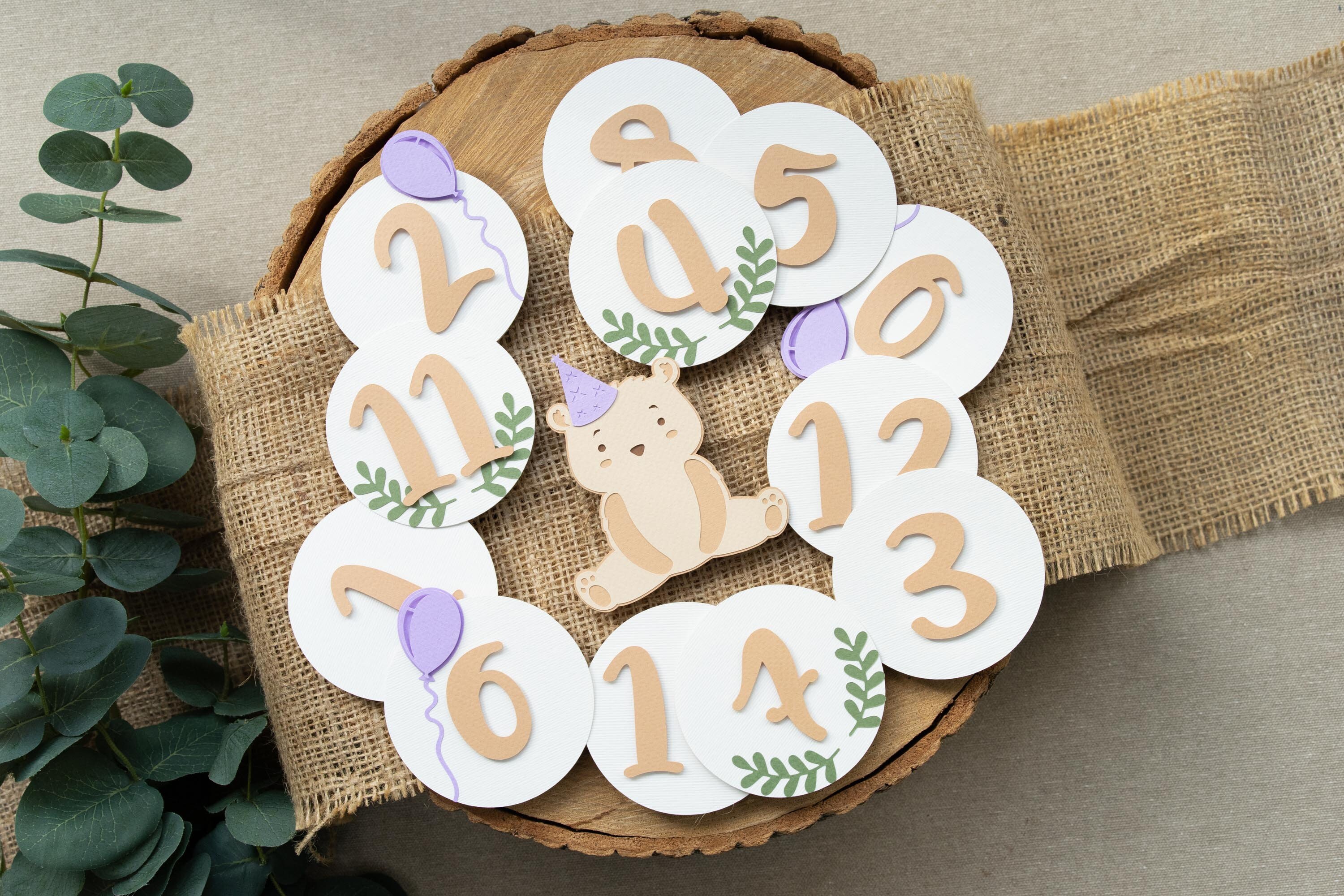 Teddy Bear Birthday Decorations Baby Girl 1st First Party Bundle Violet ...