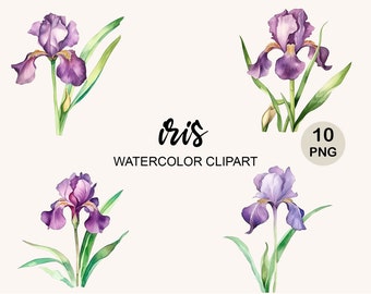 Watercolor Iris Png Clipart, Watercolor Clipart, Floral Png, Flowers Png, Png instant download, commercial use, bundle