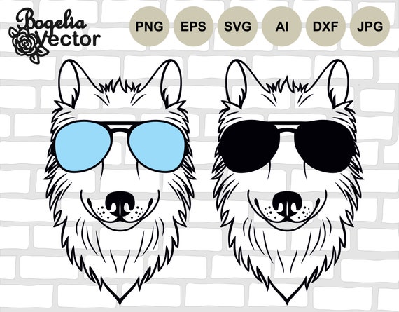 Husky dog wearing sunglasses and fashion clothes by Coolarts223 on  DeviantArt