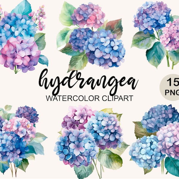 Hydrangea Png Clipart, Watrcolor Clipart, Watercolor Hydrangea Clipart Bundle, Png instant download, Commercial use, Flowers, Floral