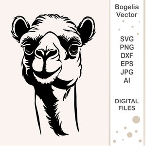 File di taglio Svg di cammello, Testa di cammello Svg, Faccia di animale Svg, Animale in formato svg, Clipart di cammello, Vettore di cammello, Cricut, Camicia, Contorno, Eps, Png