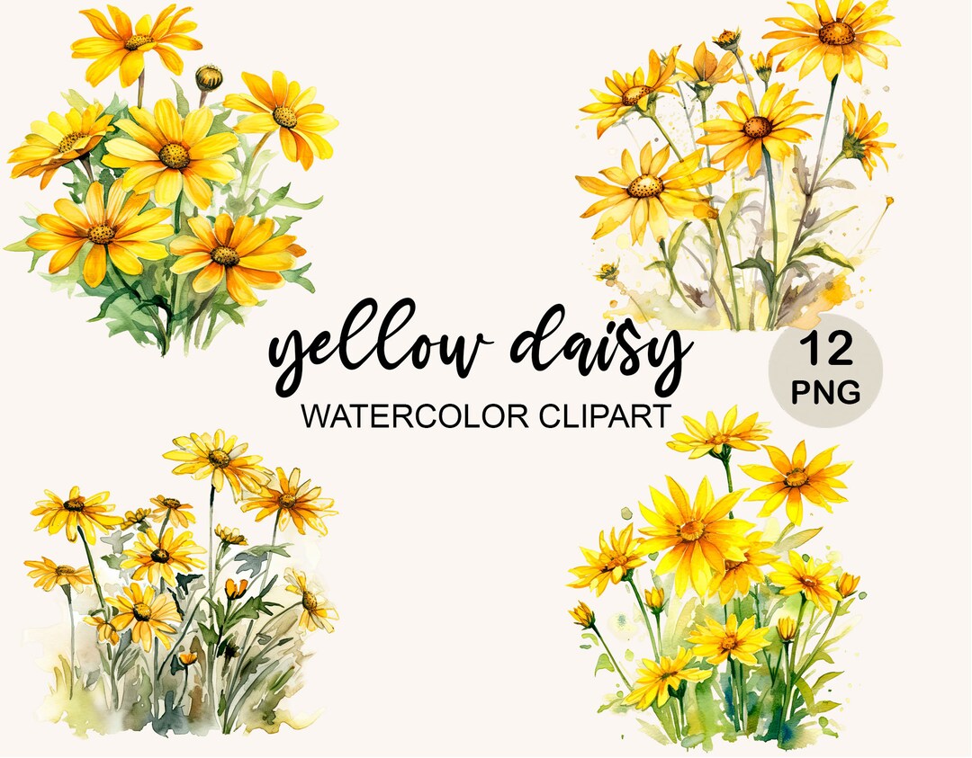 Daisy Watercolor Clipart Png, Yellow Daisy Png, Botanical Clip Art