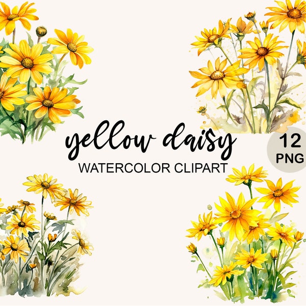 Daisy Watercolor Clipart Png, Yellow Daisy Png, Botanical Clip art, Flowers Png, Wild Flowers Png, digital download, commercial use, bundle