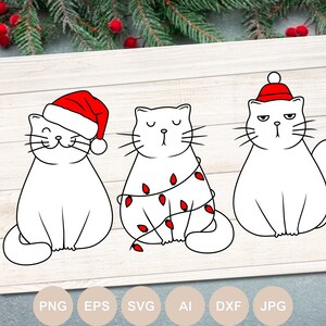 May include: Three white cats wearing Christmas hats and decorations. The cat on the left is wearing a Santa hat, the cat in the middle is wrapped in Christmas lights, and the cat on the right is wearing a red stocking cap.