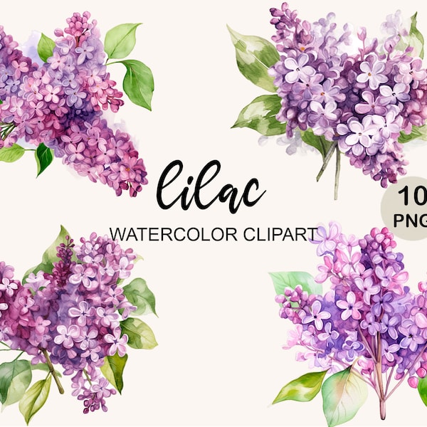 Watercolor Lilac Clipart, Lilac Png Bundle, Watercolor Clipart, Floral Png, Flowers Png, Png instant download, commercial use