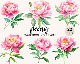 Watercolor Peony Png Clipart, Watercolor Clipart, Flowers Png, Floral Clipart Png, Digital instant download, commercial use, bundle