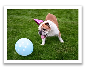 English Bulldog Birthday Postcard