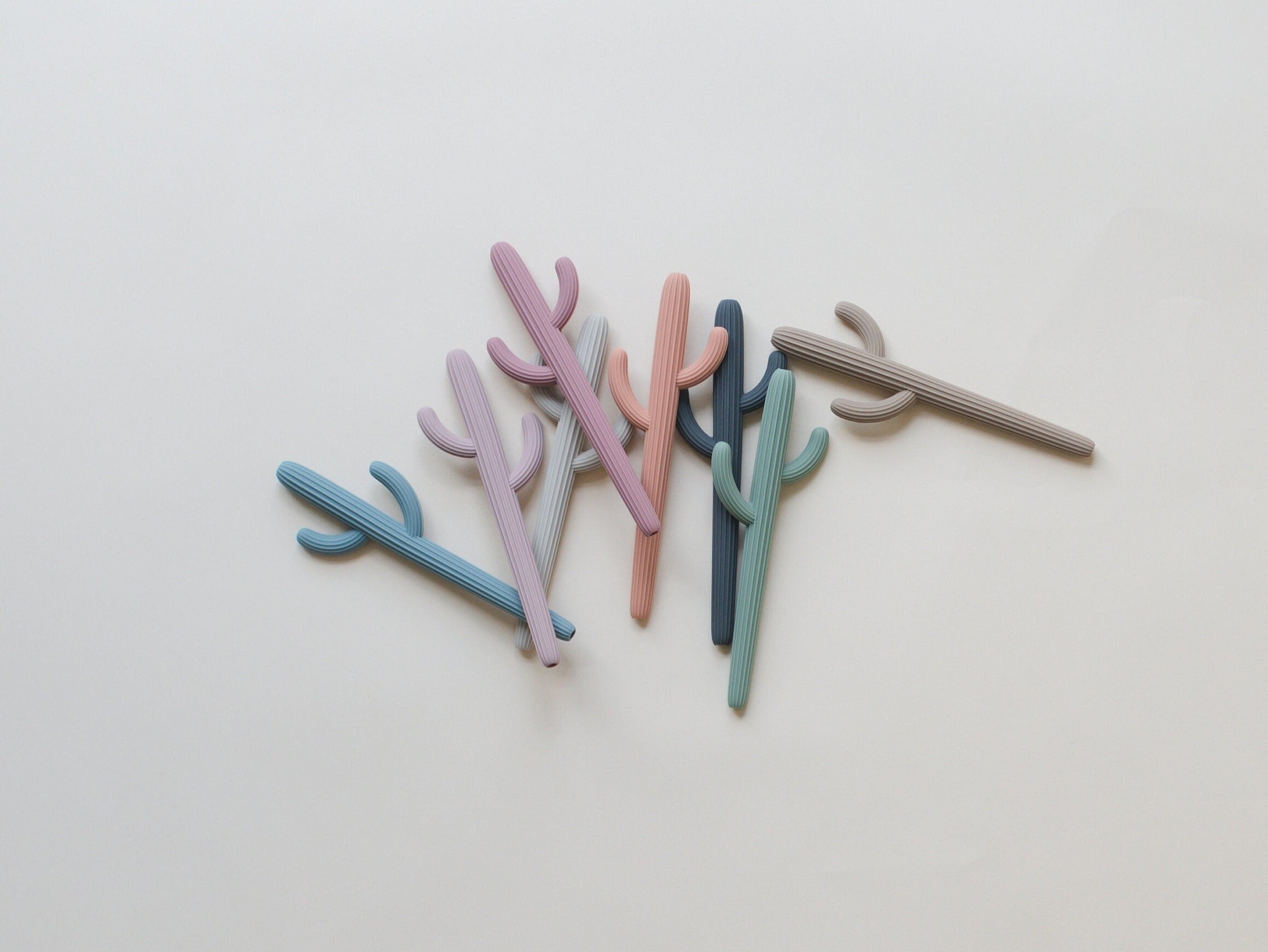 cactus teether