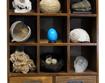 Cabinet of Curiosity / Curiosity Box / Curiosity Cabinet
