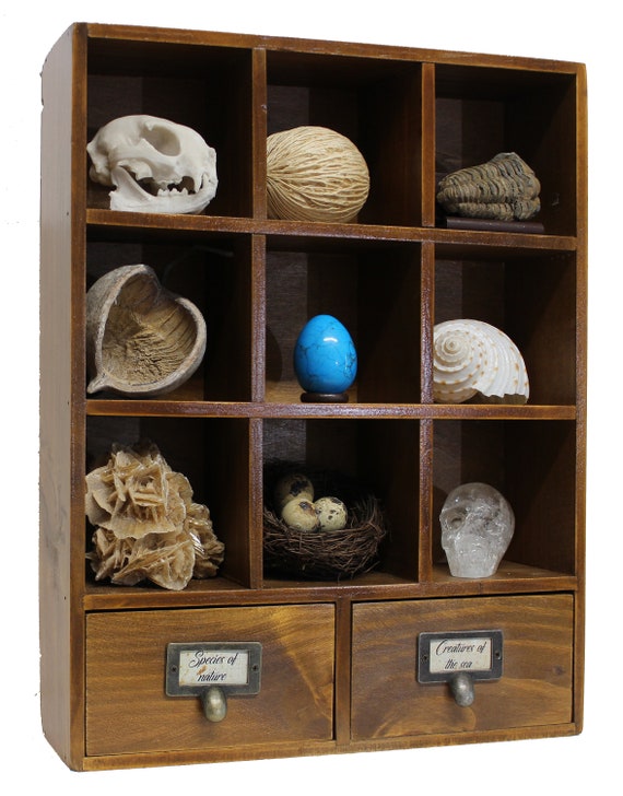 Cabinet of Curiosity / Curiosity Box / Curiosity Cabinet