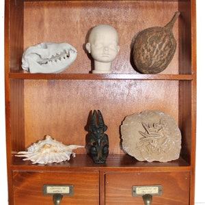 Cabinet of curiosity / Curiosity Box / Curiosity Cabinet / Curiosities and Oddities Vintage / Cabinet of Curiosities / Cabinet of Curiosities II