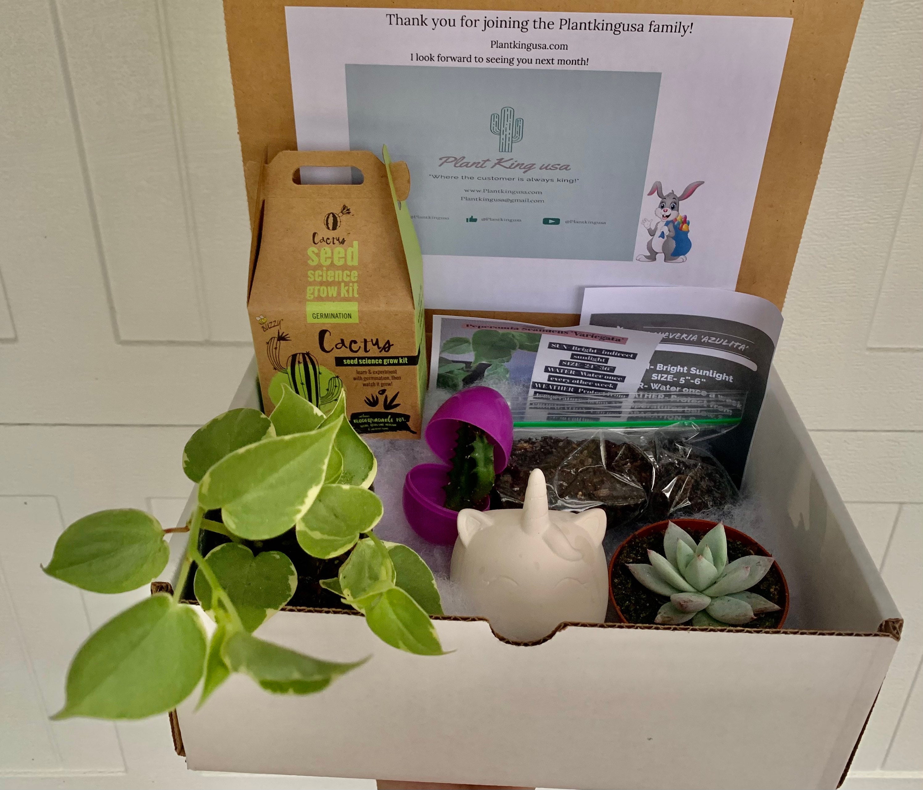 Monthly Plant Subscription Box Free shipping | Etsy