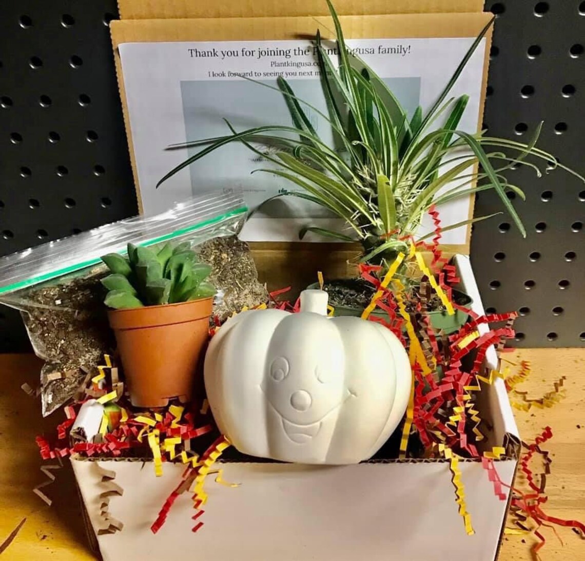 Monthly Plant Subscription Box Free shipping Etsy