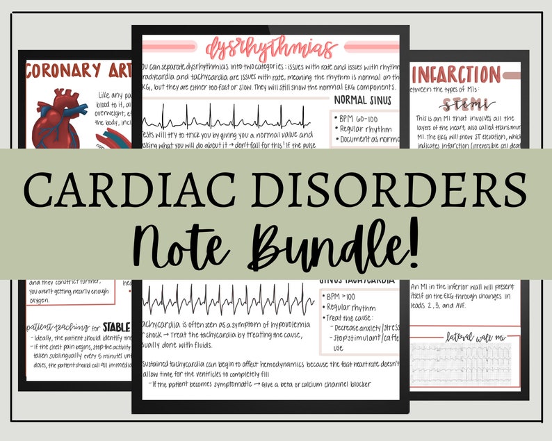Cardiac Disorders Nursing Note Bundle // Digital Download // Goodnotes ...