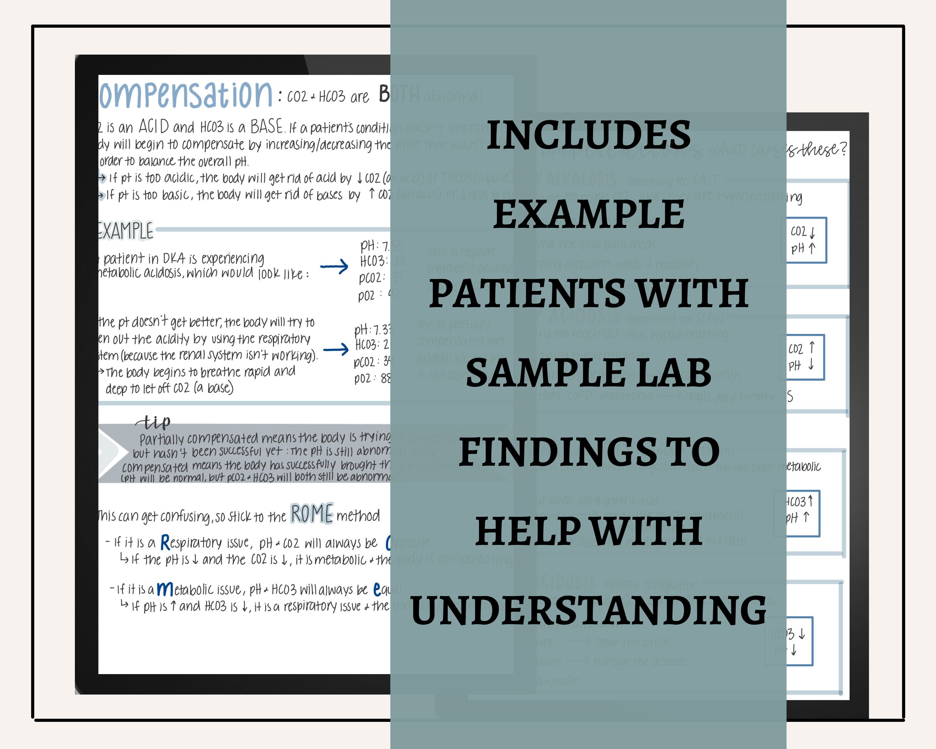 ABG Interpretation Nursing Notes - Etsy