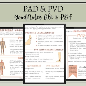 PAD, PVD Nursing Notes // Digital Download // GoodNotes File & PDF