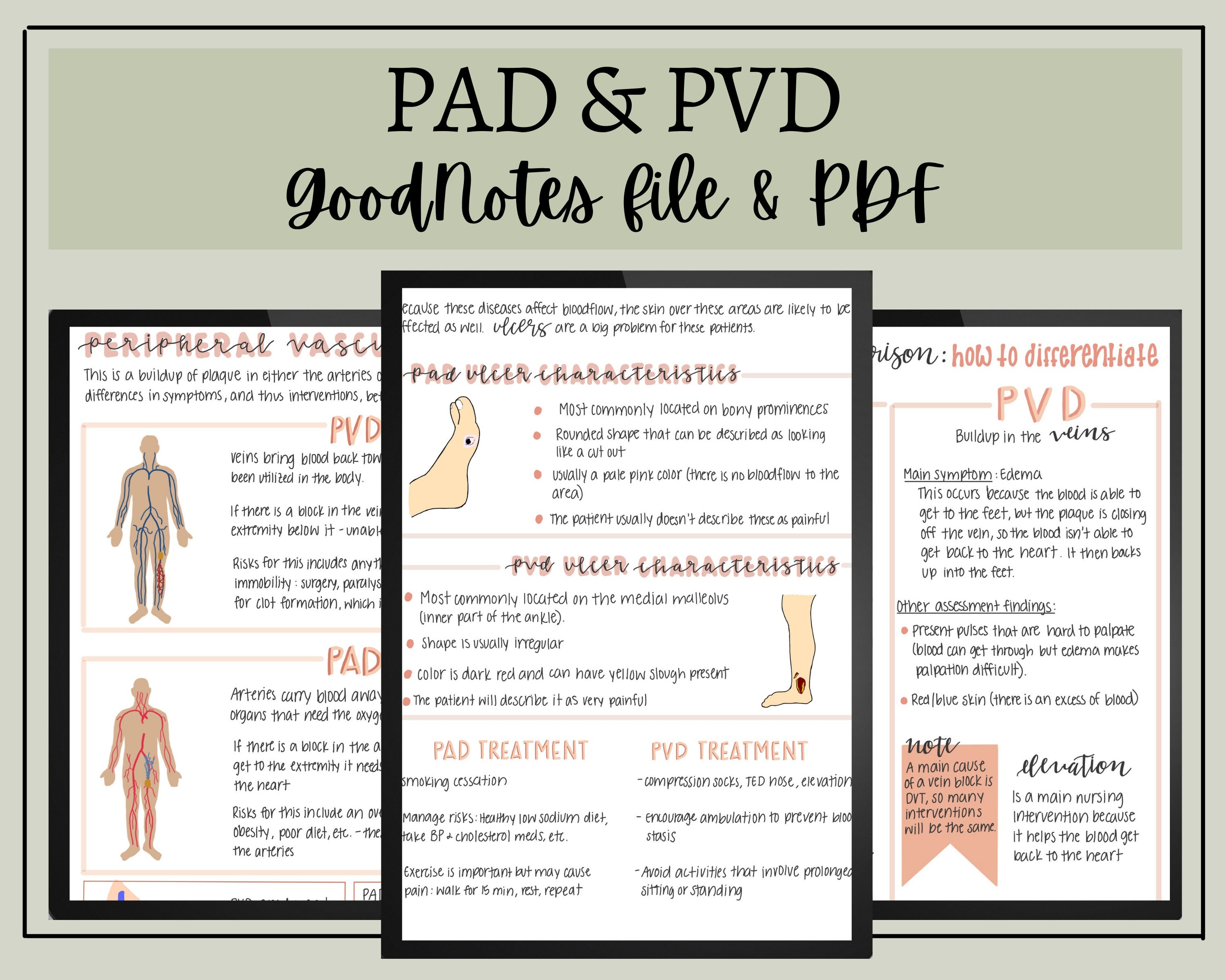 PAD, PVD Nursing Notes // Digital Download // Goodnotes File & PDF Etsy