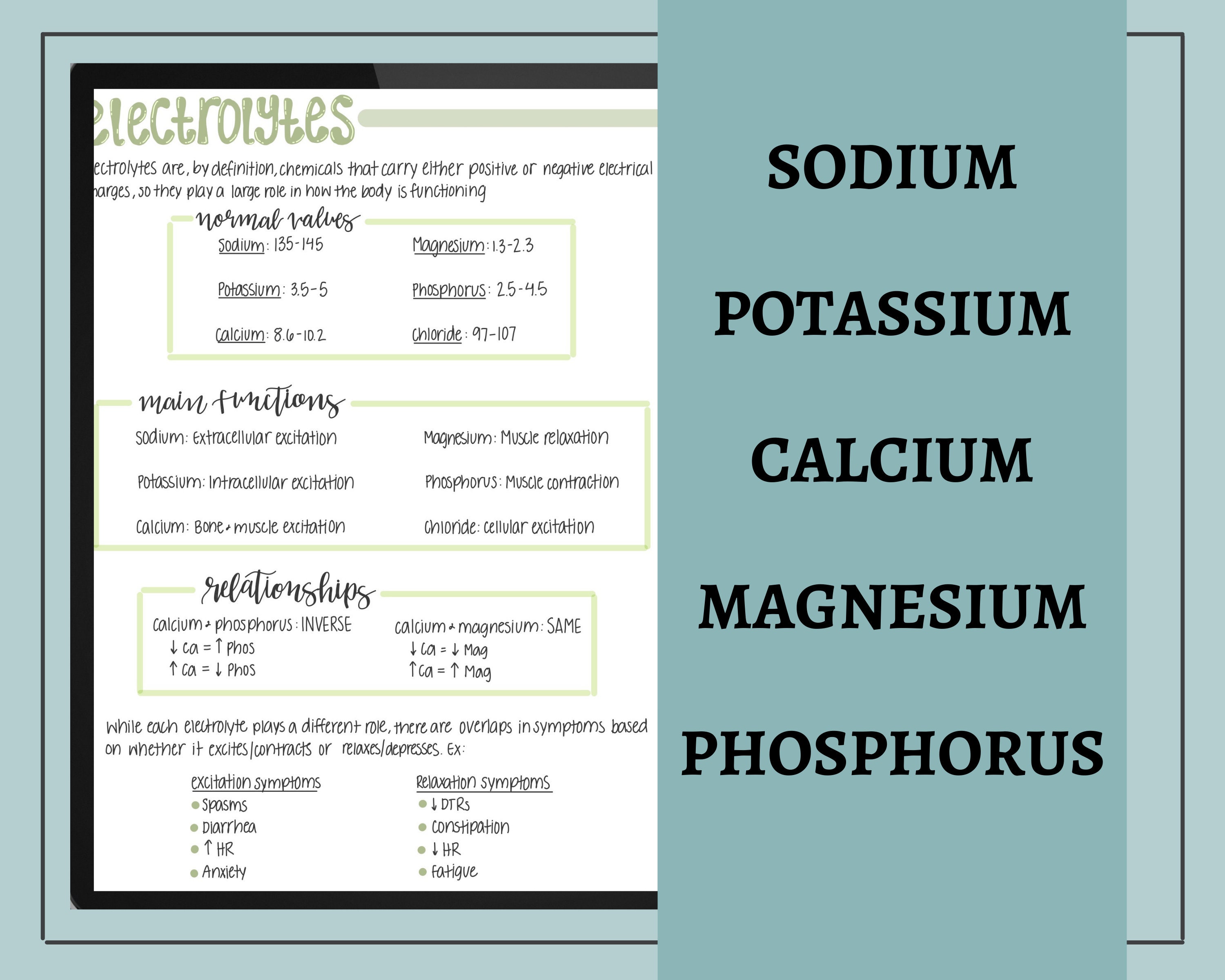 Fluid and Electrolytes Nursing Notes // Digital Download // Goodnotes ...