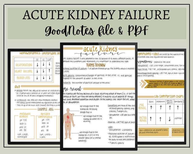 Acute Kidney Failure Nursing Notes // Digital Download // Goodnotes