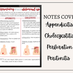 Acute Abdominal Issues Nursing Notes // Digital Download // Goodnotes ...