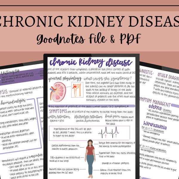 Chronic Kidney Disease Nursing Notes // Digital Download // GoodNotes File & PDF