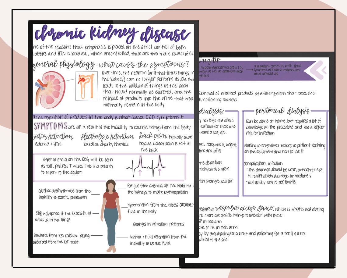 Chronic Kidney Disease Nursing Notes // Digital Download // Goodnotes