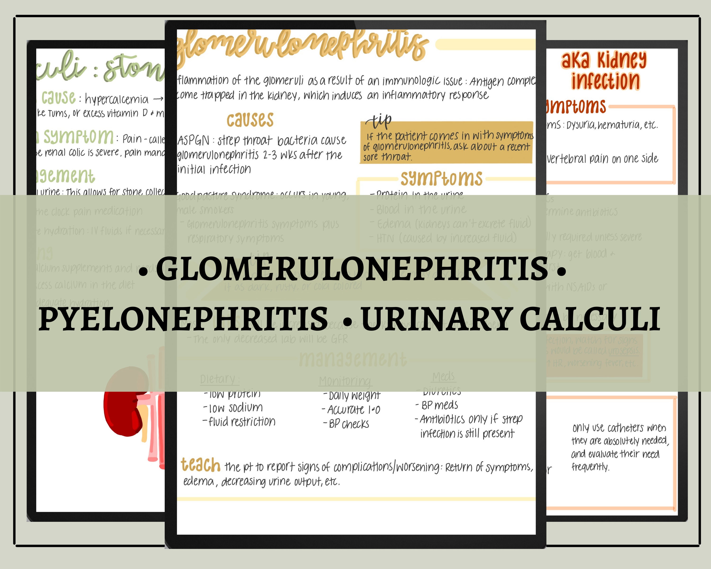 Office & School Supplies Office Home & Living Acute Kidney Failure
