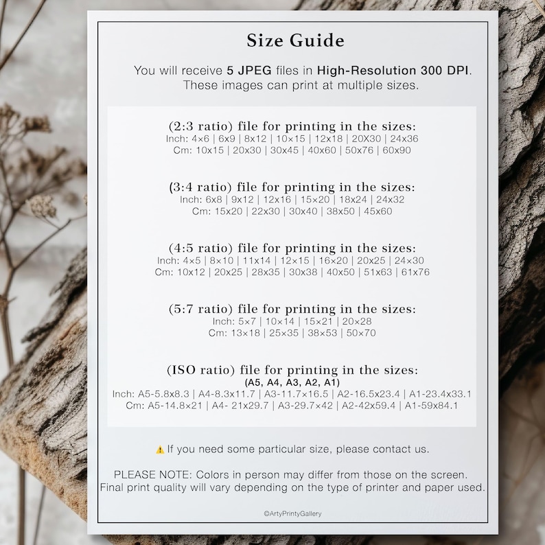 May include: A white document with a black border titled "Size Guide." It lists print sizes in inches and centimeters for various aspect ratios, including 2:3, 3:4, 4:5, 5:7, and ISO. The document also includes a note about color variations.