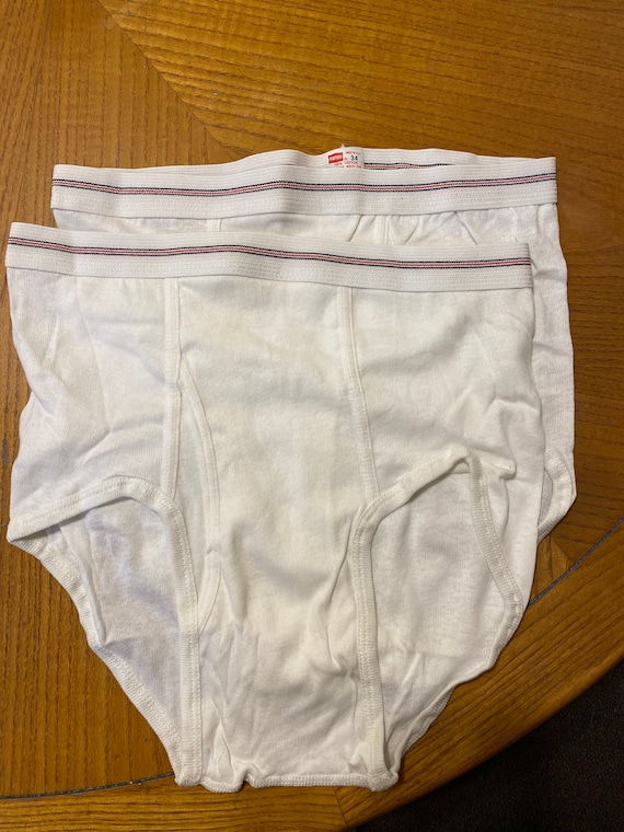 HANES vintage two pak white briefs