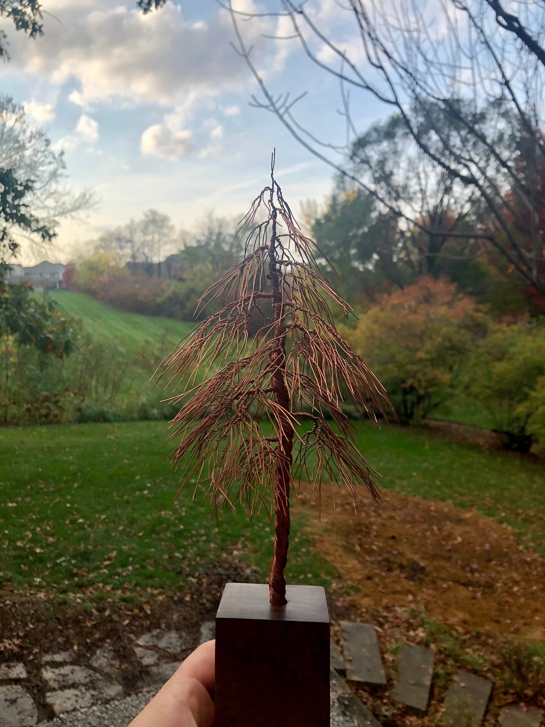 Copper Wire Pine Tree on Walnut Base 12.5 Inches Tall 4.5 Etsy